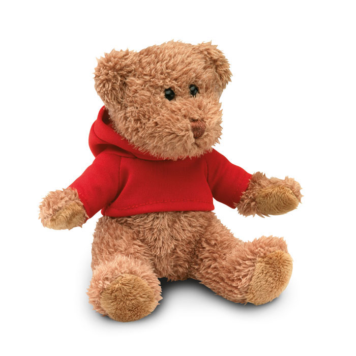 Teddybär mit Hoody 