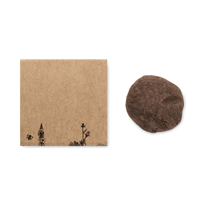 Saatbombe Honigbiene