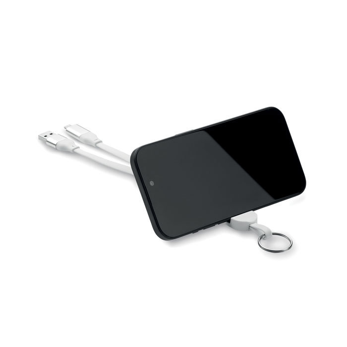 Schlüsselring mit 60W Kabel