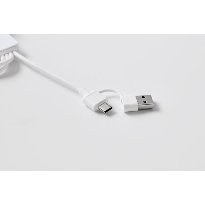 2in1 Ladekabel Typ-C