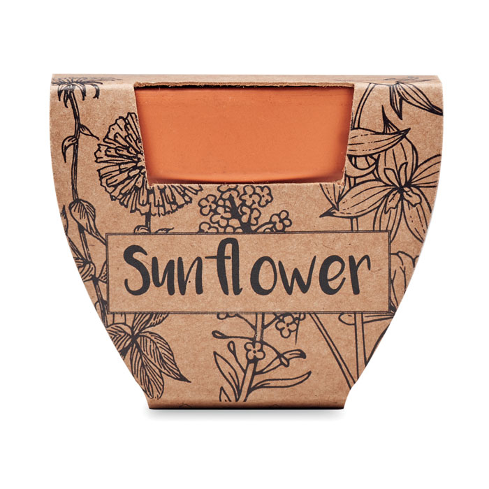 Terracotta-Topf Sonnenblume