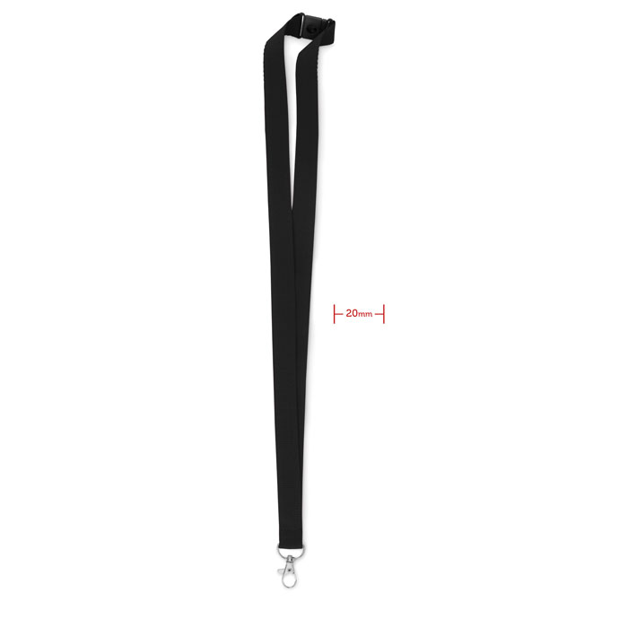 Lanyard