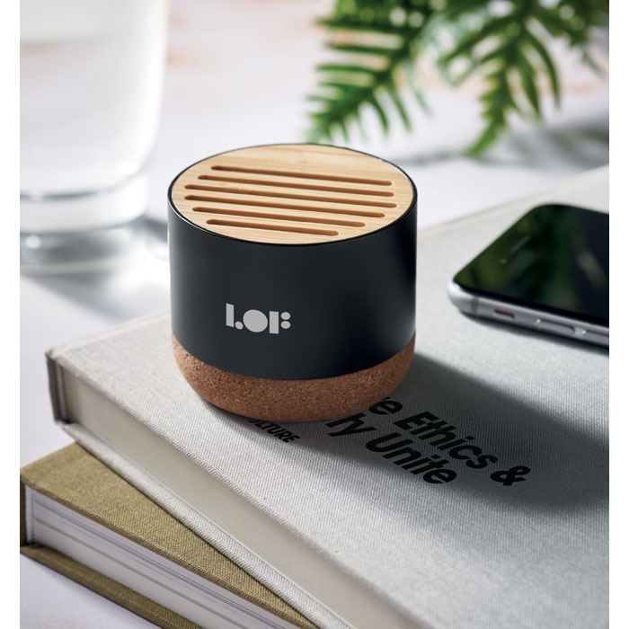 5.3 Wireless Lautsprecher