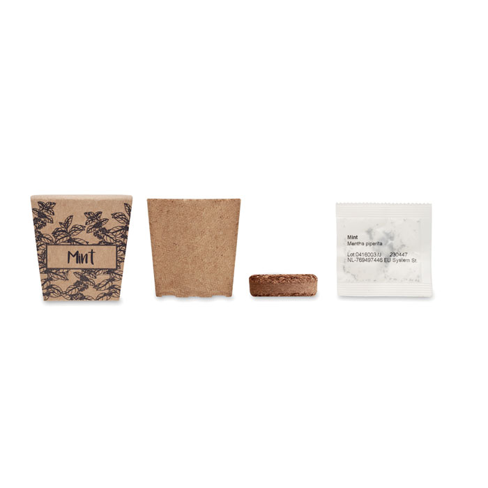 Pflanz-Set Minze