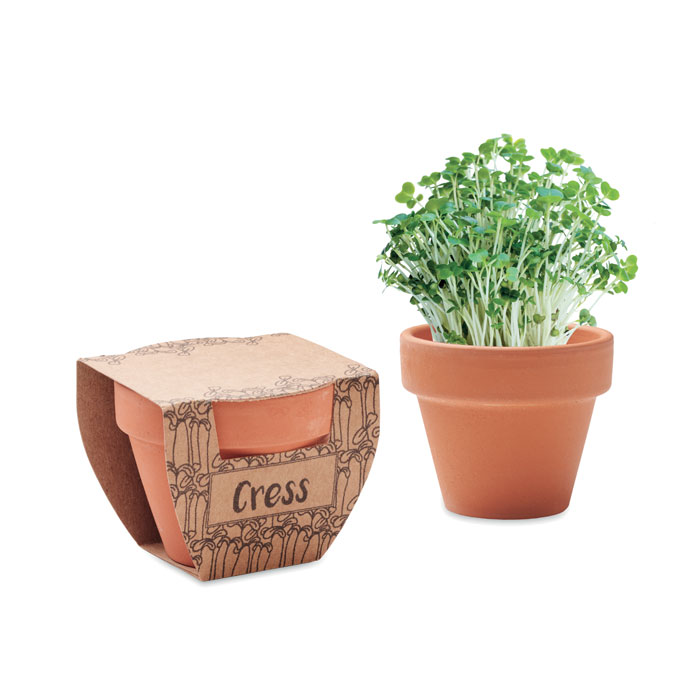 mo2219-40-1 Terrakotta-Topf Kresse