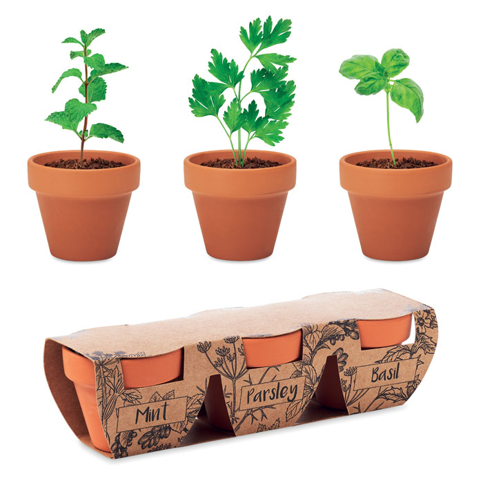 mo6145-40-1 Terracotta-Set Kräuter