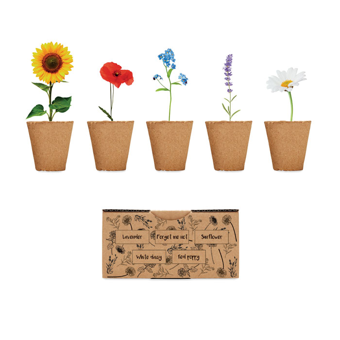 mo6500-13-1 Saat-Set Sommerblumen