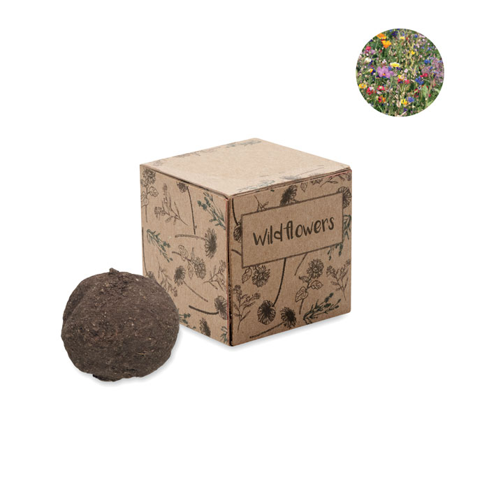 mo6908-13-2 Saat-Set Wildblumen