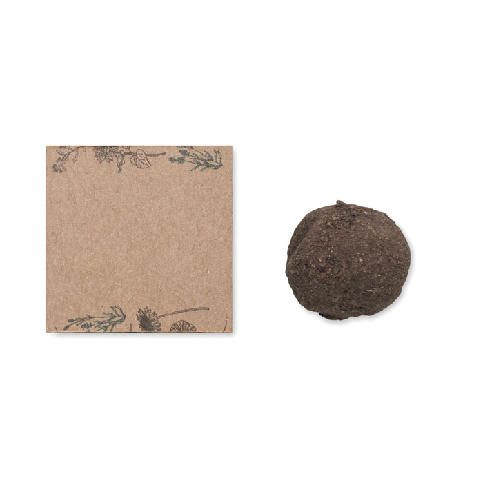 Saat-Set Wildblumen